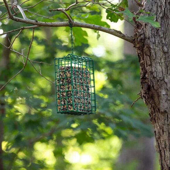 Pennington Suet Cake Premium Feeder Station- Large Size - Picture 4 of 8